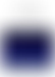 "Vega, l'Etoile Brillante"