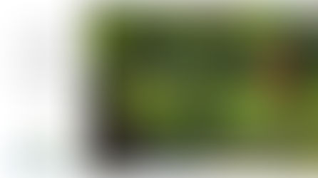 Provins Tourisme, Emotions au Coeur de la Nature