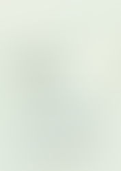 "Envol du Printemps"