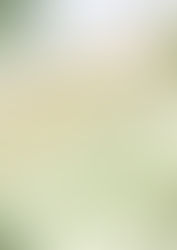 "Amour, Beauté, et Poésie en Méditerranée