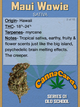 02Canna Cards Back NFT Maui Wowie.png