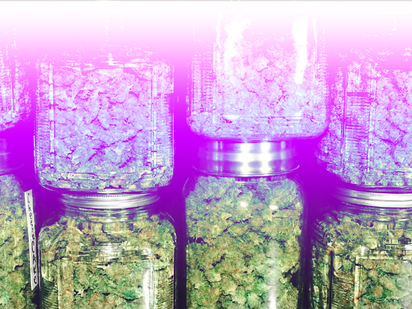 ganja jars BG.png