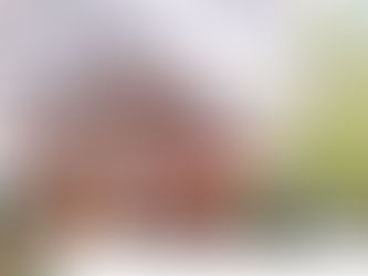 春満開の蓼科です