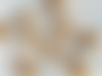 كوكيز غلوتين ولاكتوز فريه
