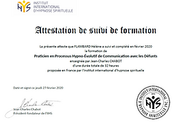 Capture d’écran (1).png