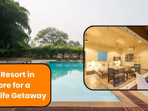 Top Luxury Resort in Ranthambore for a Royal Wildlife Getaway