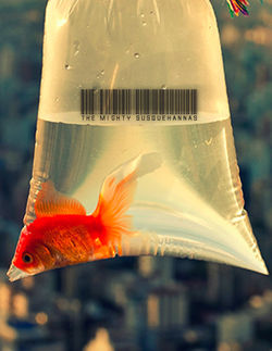 "The Mighty Susquehannas"