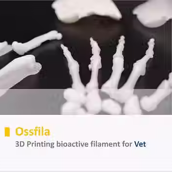 Folleto de Ossfila - Veterinario 2021v2_pptx.avif