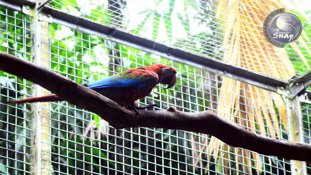 Hamdalah