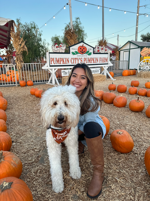 8 Must-Do Fall Activities in Orange County