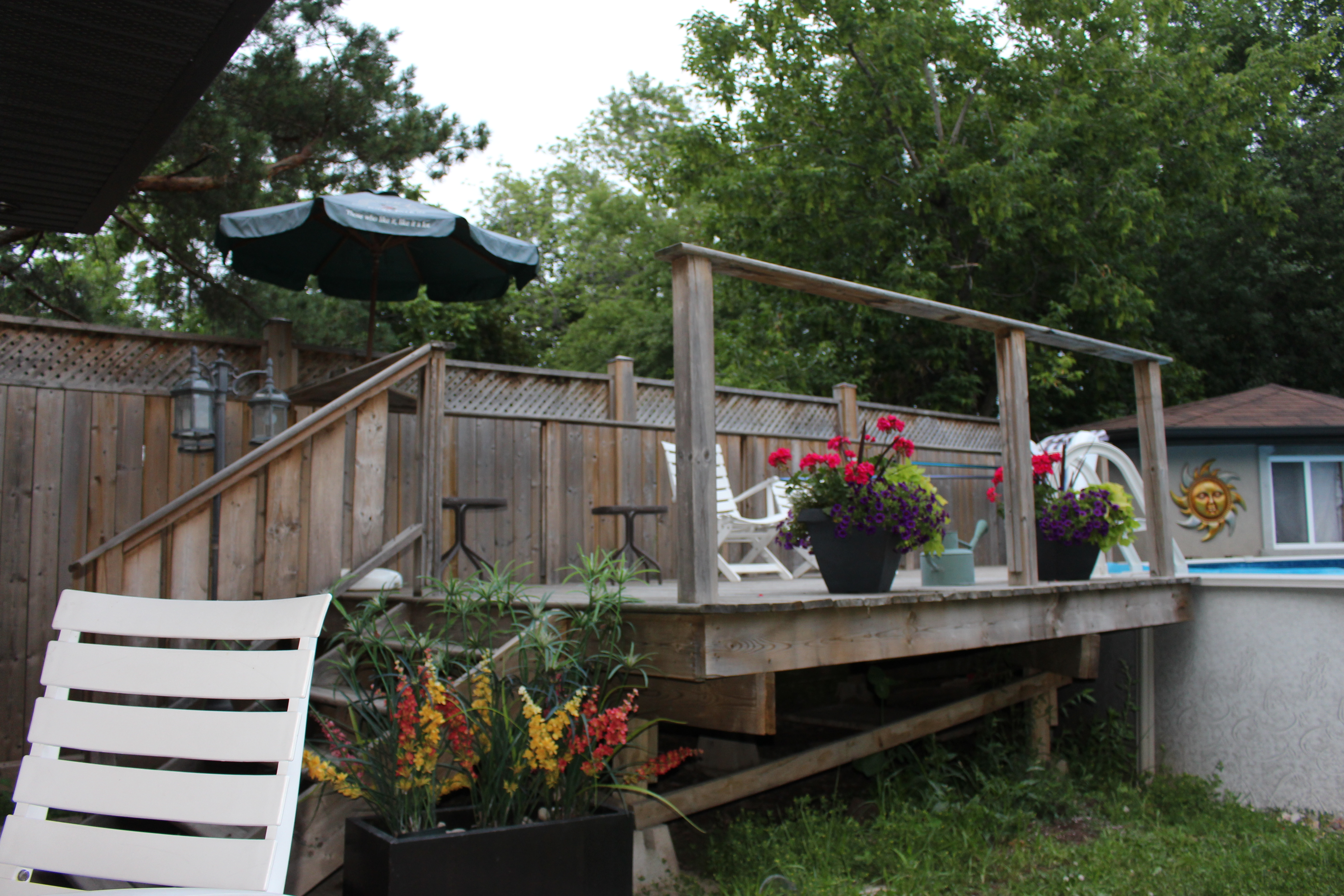 Backyard Project - Before