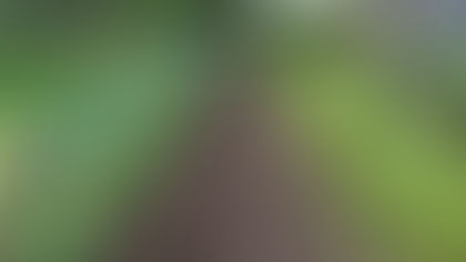 Storytelling Time: Death Shifts Gears – Chapter 1 Part II