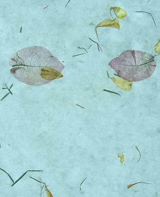 blue seed paper.png