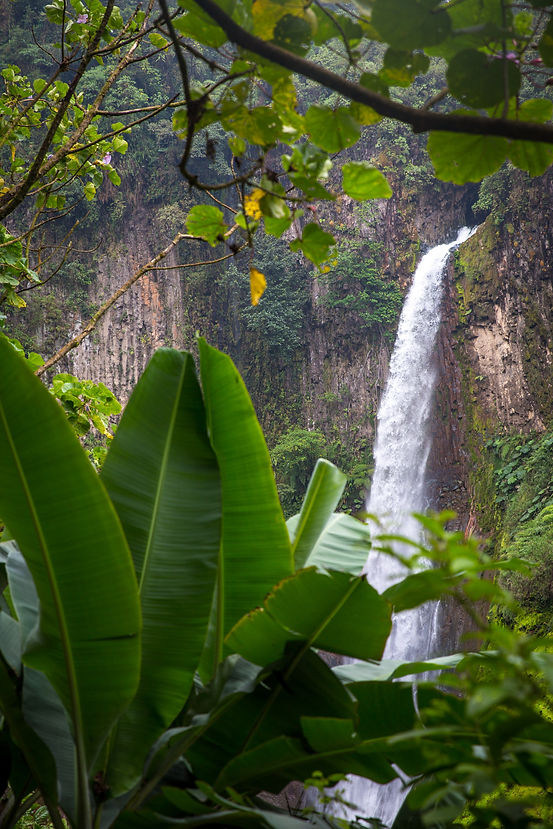 0028 Costa Rica 2020.jpg