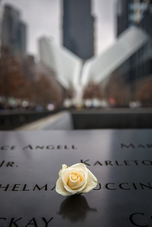 214 New York foto's mobiel 2020.jpg