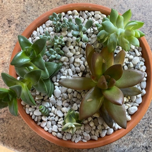 Mix