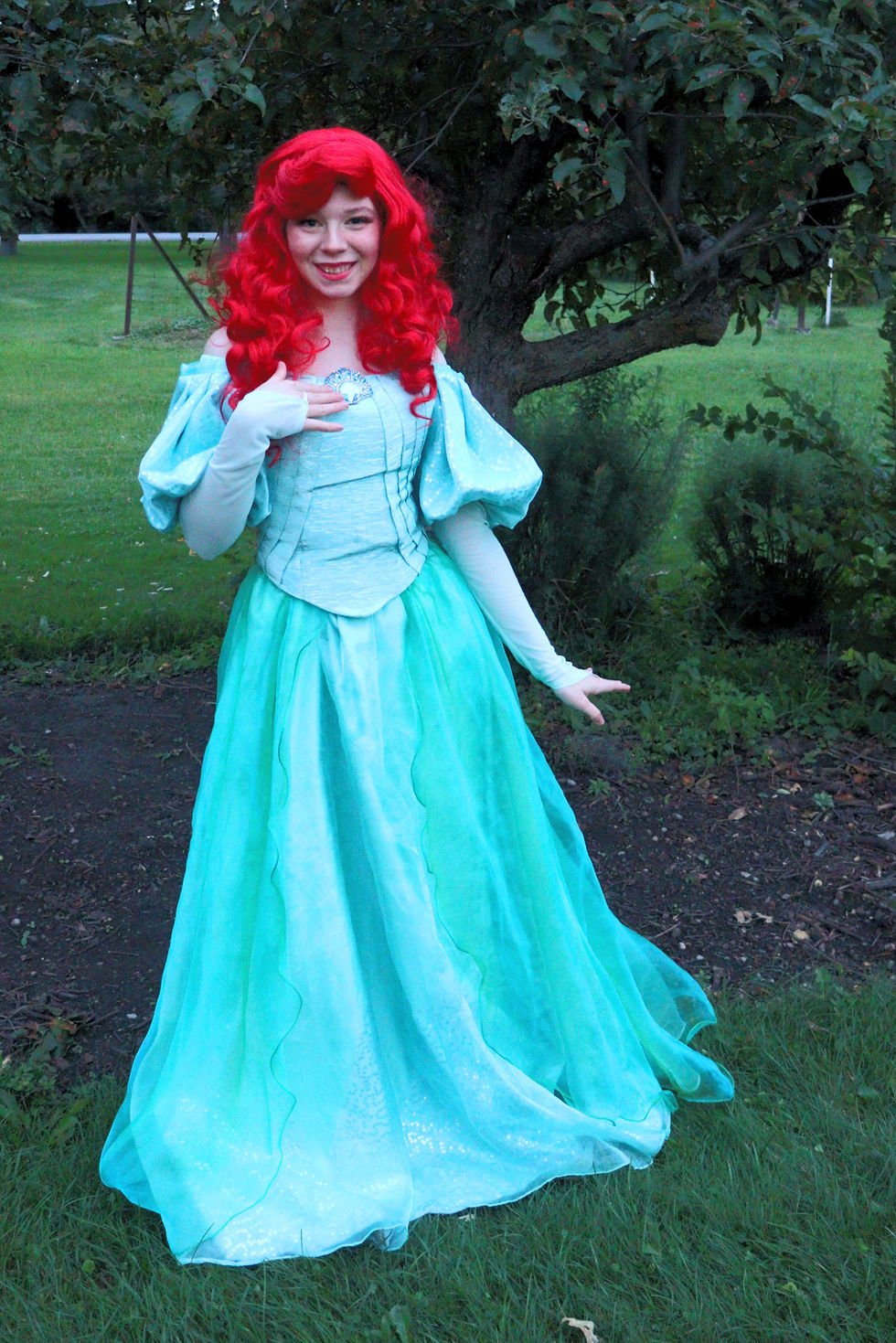 the Little Mermaid