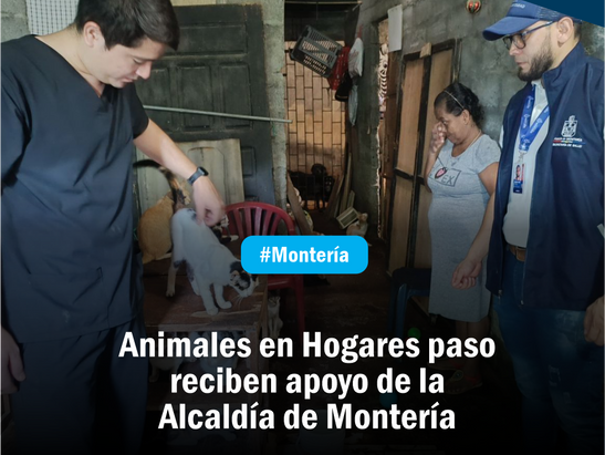 Animales en Hogares de paso reciben apoyo de la Alcaldía de Montería