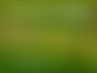 Este 26 de octubre se realizará la Feria SENA Emprende Rural en Montería