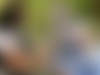 Alcaldía de Montería realiza jornada de atención integral a comunidad indígena