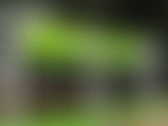 ICBF brinda acompañamiento a familiares de niña desaparecida en Sahagún