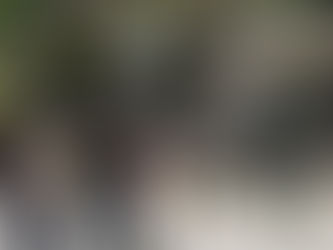 30 de noviembre plantón en el parque Laureano Gómez de Montería