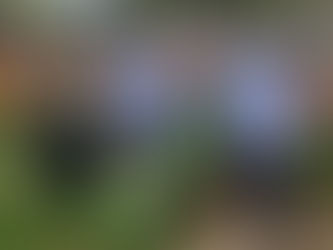 Plan de la Policía para garantizar la sostenibilidad y seguridad del medio ambiente