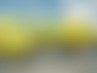 Viva Air suspende sus operaciones de forma inmediata