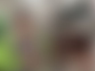 ¡Insólito! un perrito fue empacado vivo y tirado a la basura