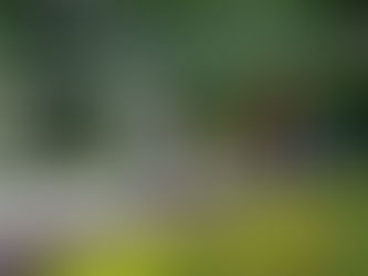 Suspenden clases en la Universidad de Córdoba sede Montería por 15 días