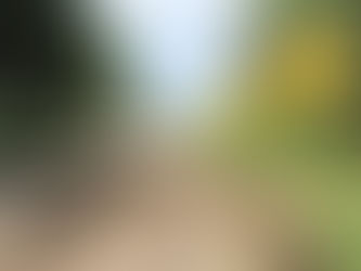 Incumplimiento de la rehabilitación de la vía Lorica- San Bernardo del Viento