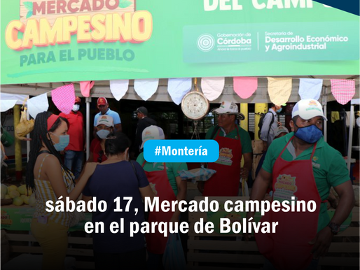 sábado 17, Mercado campesino en el parque de Bolívar