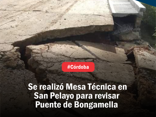 Se realizó Mesa Técnica en San Pelayo para revisar Puente de Bongamella