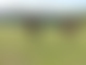 Montería será sede de los juegos intercolegiales fase regional