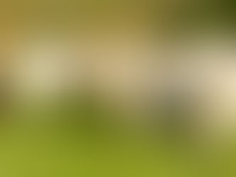 Ganaderos denunciaron robo de bovinos en los departamentos de Córdoba y Cauca