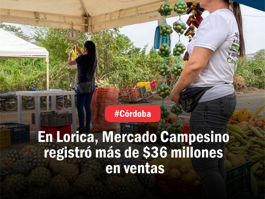 Mercado Campesino en Lorica, registró más de $36 millones en ventas