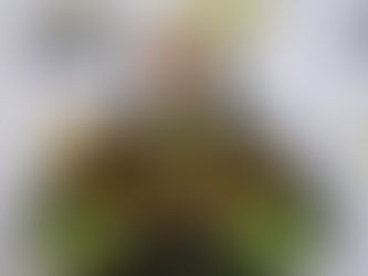 Conozca los detalles para sintonizar los Premios Grammy 2021 #GRAMMYs.