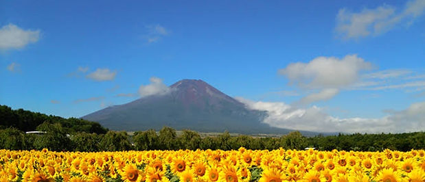 富士山.jpg