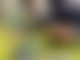 🧱 レゴ遊びに夢中!想像力いっぱいの作品づくり✨