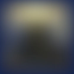 ...AND OCEANS - As in Gardens, so in Tombs