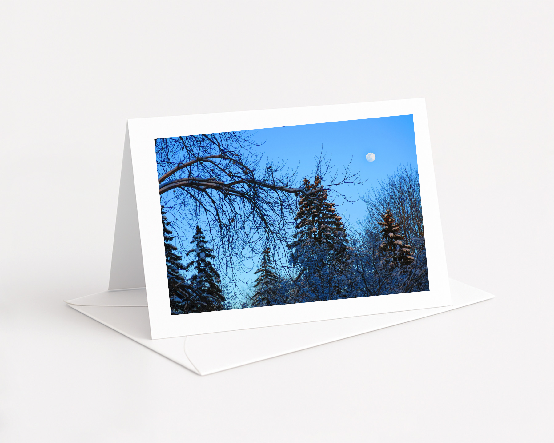 Arbres sous la pleine lune, Gatineau, Canada