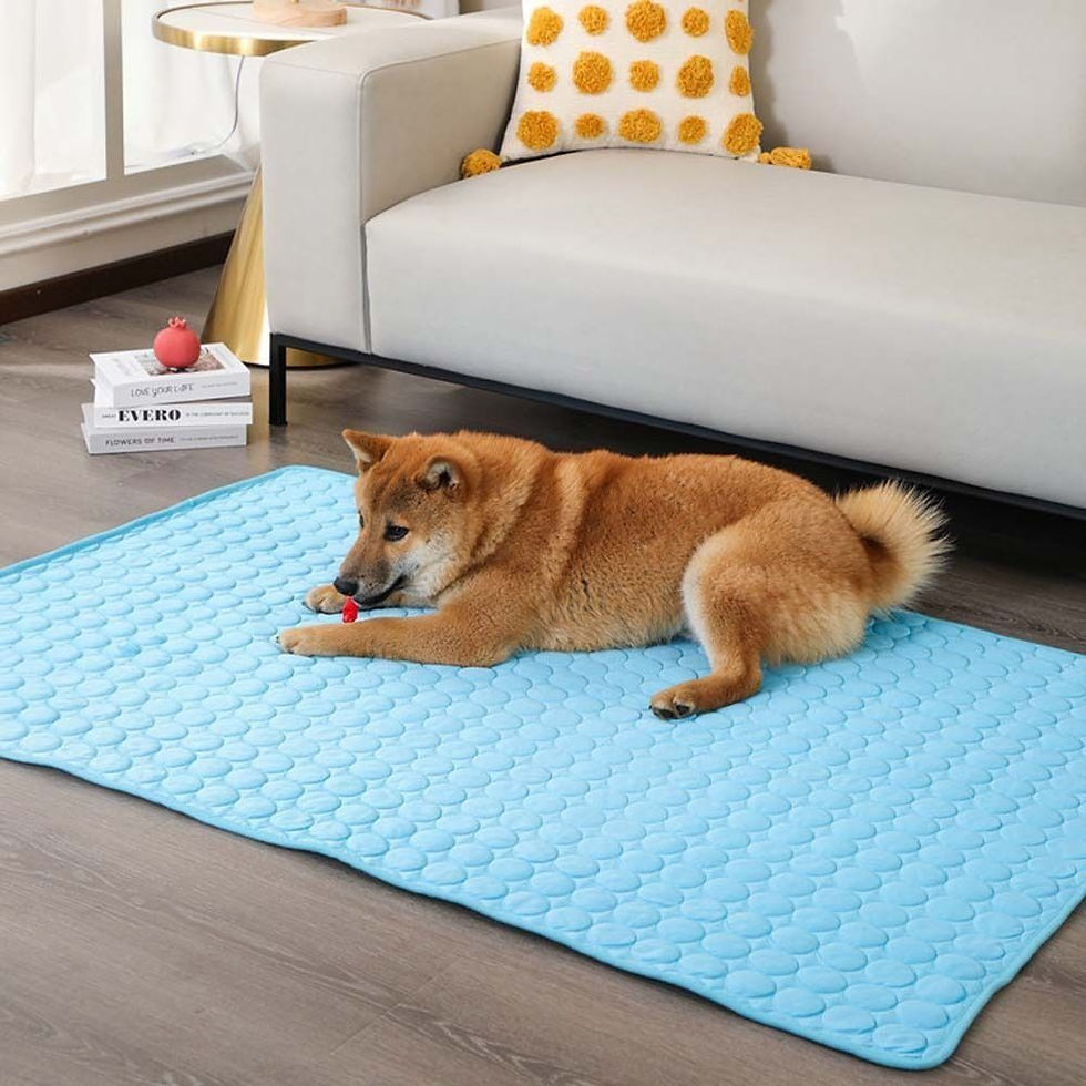 Miniatura: Tapete Gelado Cooling PetChill