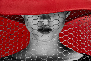 ADC CAMPAIGN