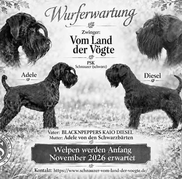Wurfanzeige Adele x Kaio Diesel_edited_e