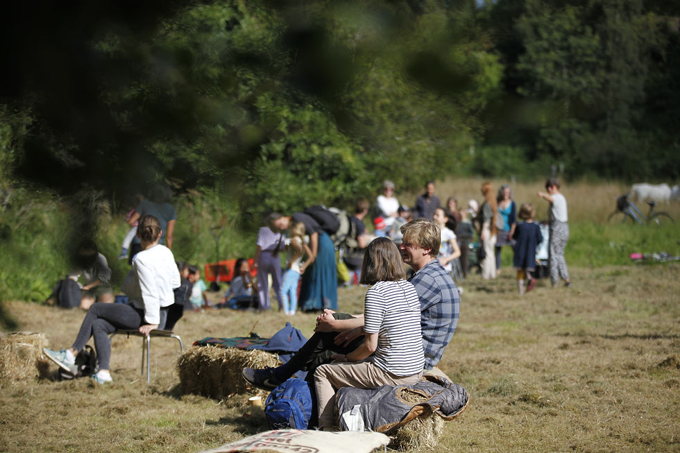Gathering in the field