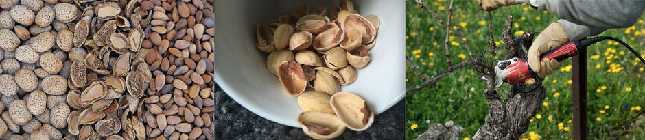 I gusci di mandorla, gusci di pistacchio, potature un eccellente combustibile per stufe e caldaie