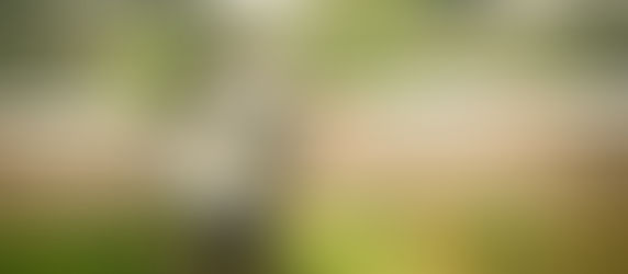 Solo il 5% della popolazione mondiale ha accesso ad aria non inquinata