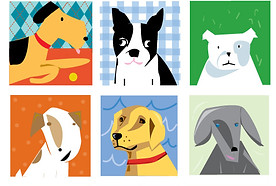 dog-gift-cards-web.jpg