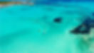 E6E154EA-AC2F-454F-9164-24DDEEDEA5E7_1_201_a.jpeg