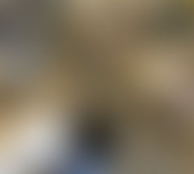 塾と家庭を使い分けよう！家庭での幼児教育の秘訣！①